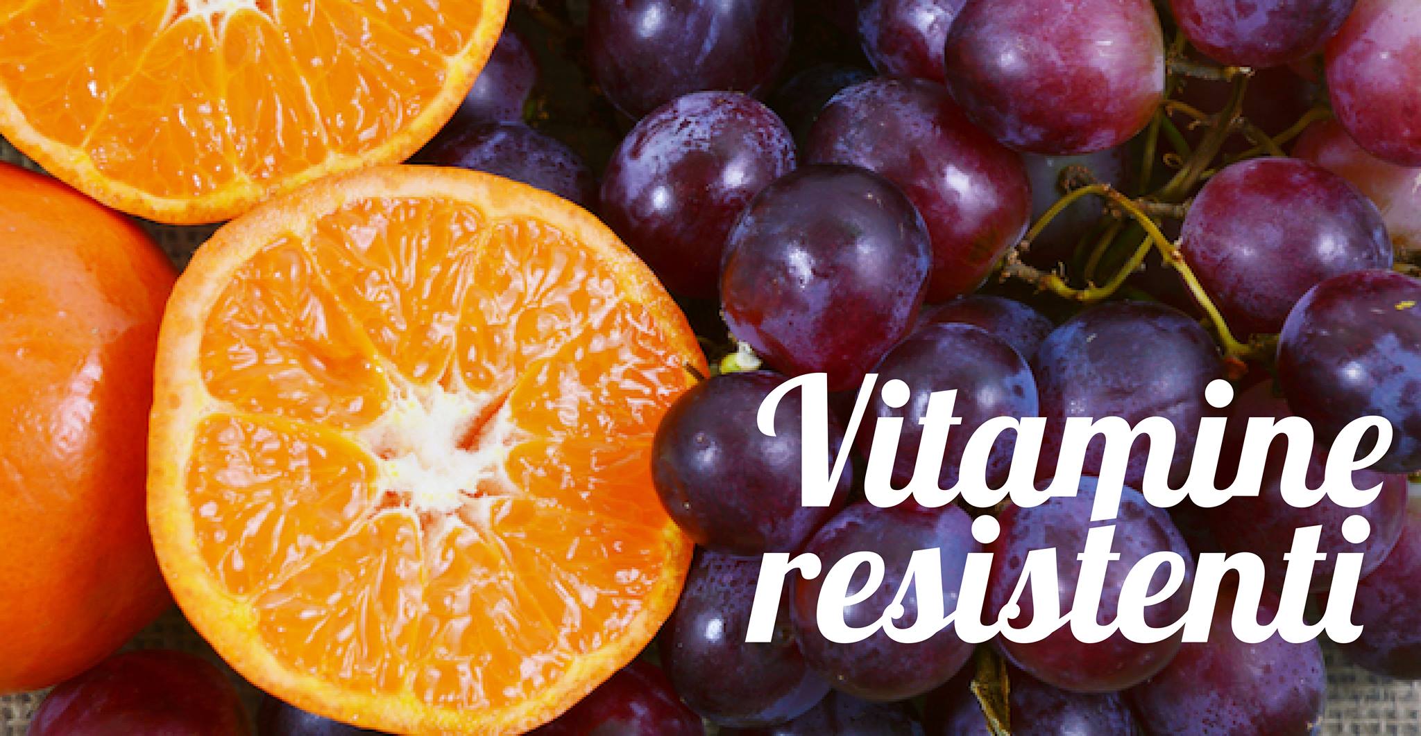 Vitamine resistenti: agrumi di Sicilia e vino delle Langhe per sostenere le Borse di studio